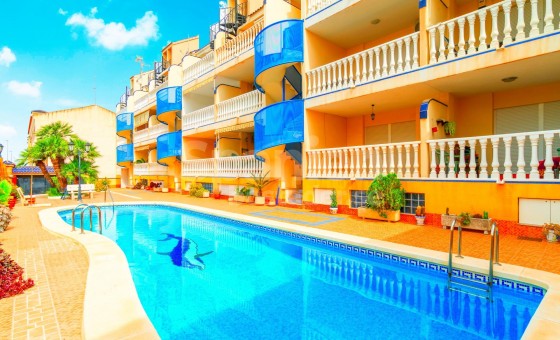 Apartamento - Segunda mano - Algorfa -
                Algorfa