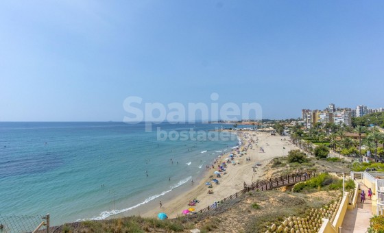 Lägenhet - Resale - Orihuela Costa - Campoamor