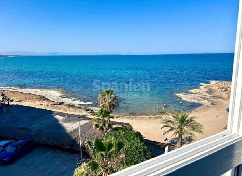 Long time Rental - Lägenhet -
Torrevieja - Cabo cervera