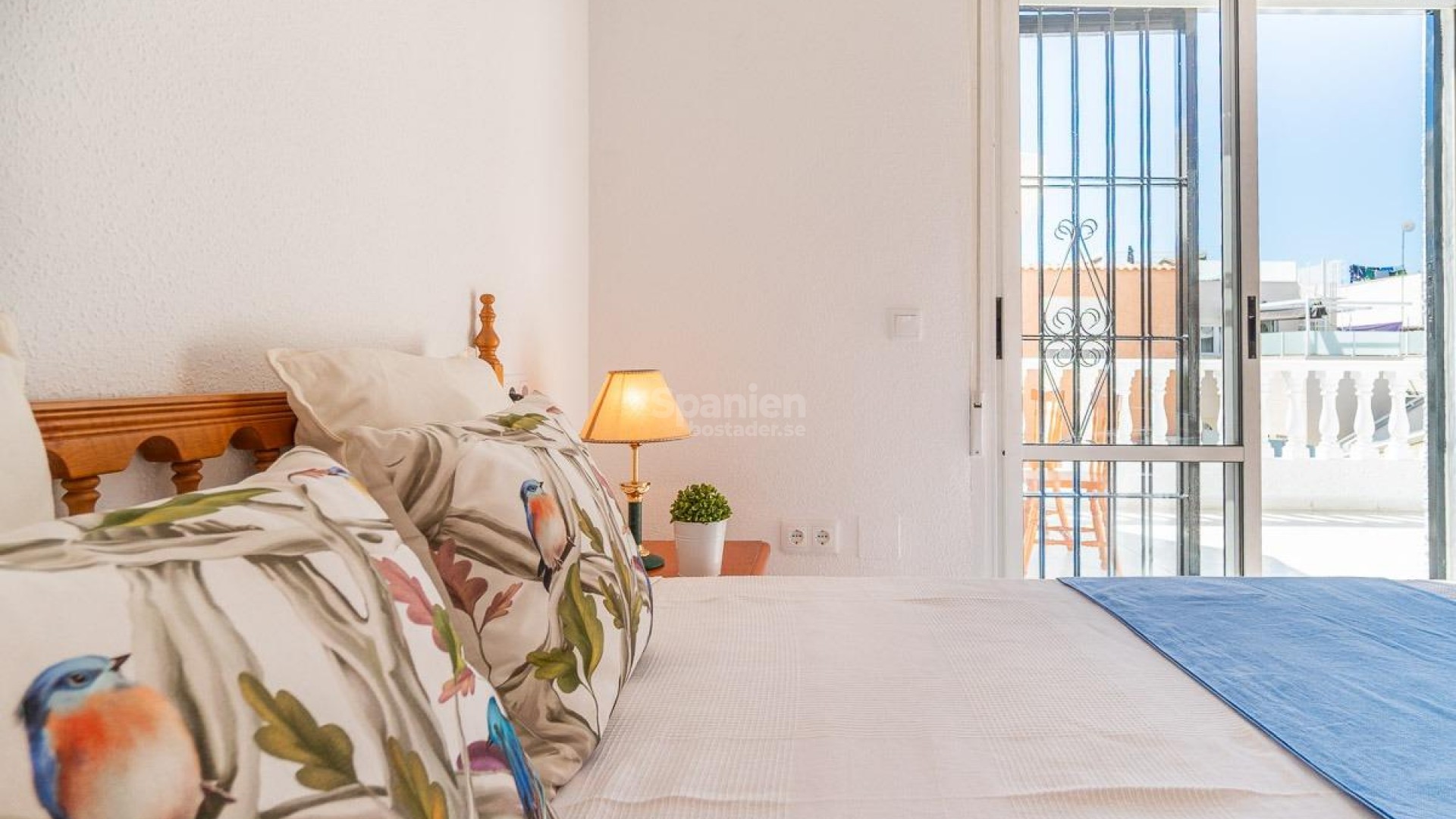 Long time Rental - Lägenhet -
Torrevieja - Playa de los locos