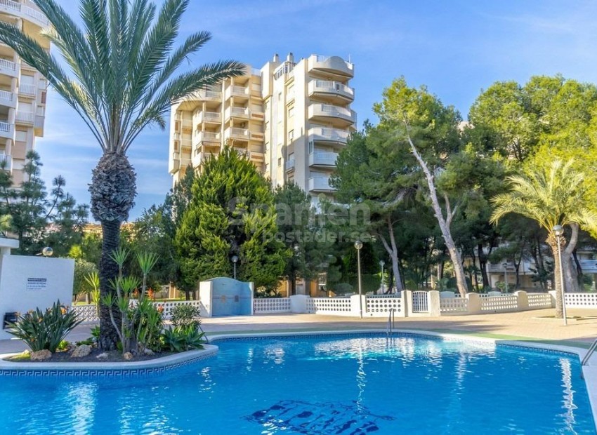 Resale - Lägenhet -
Orihuela Costa - Altos de Campoamor