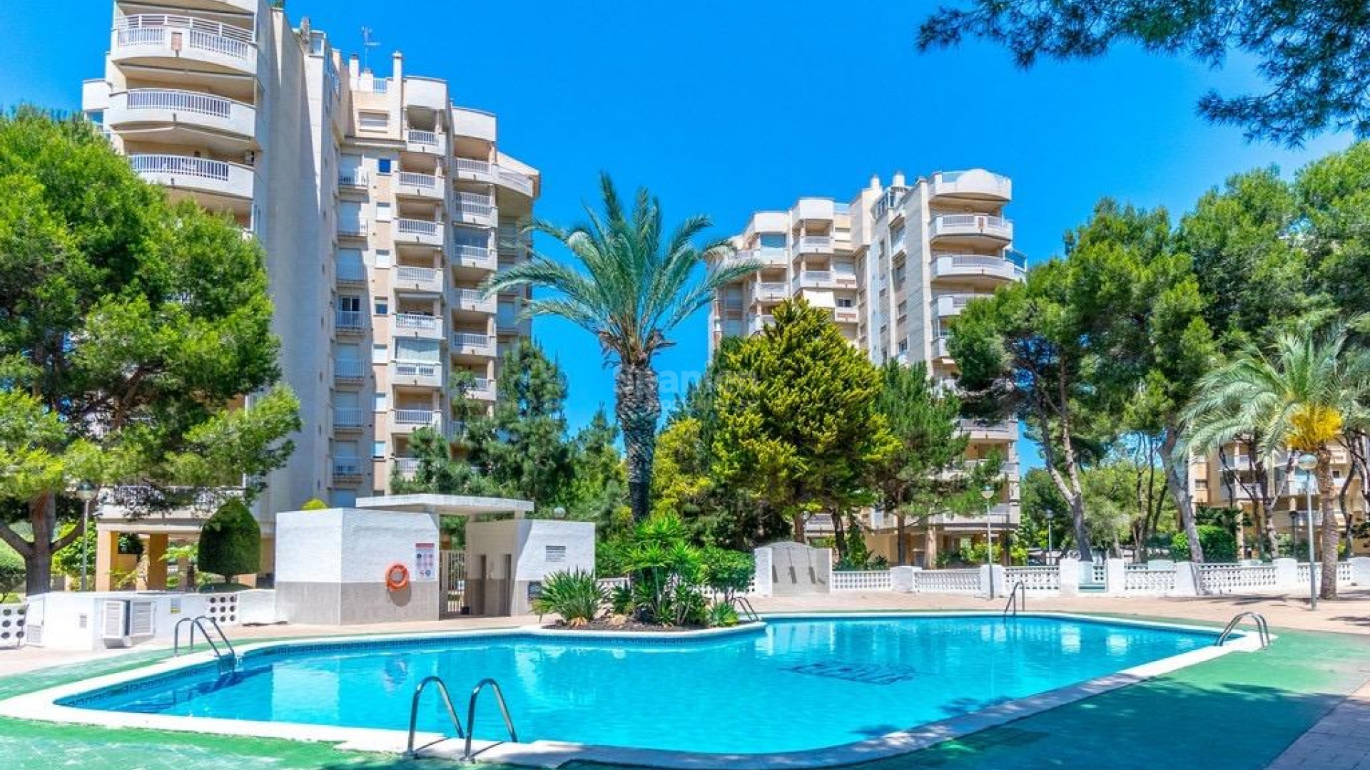 Resale - Lägenhet -
Orihuela Costa - Altos de Campoamor