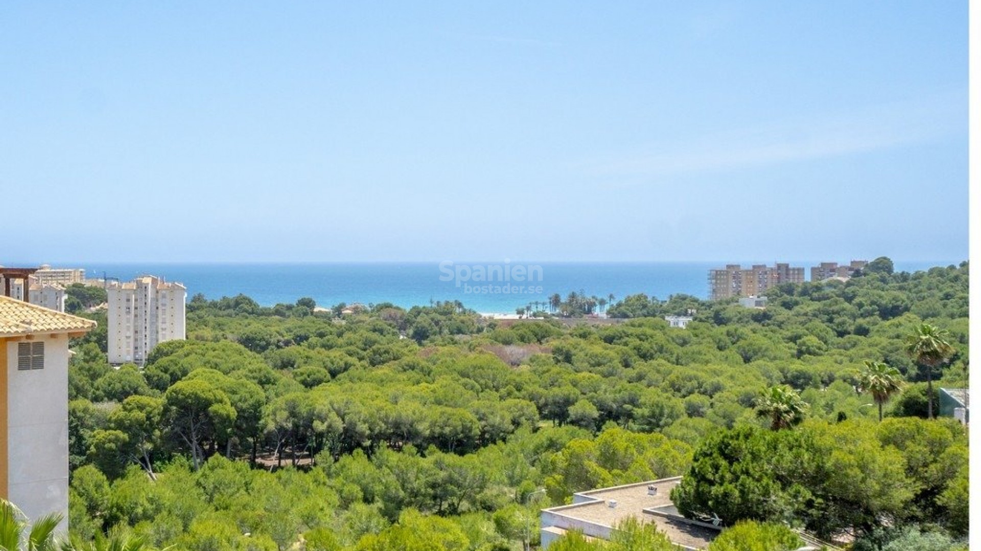 Resale - Lägenhet -
Orihuela Costa - Campoamor