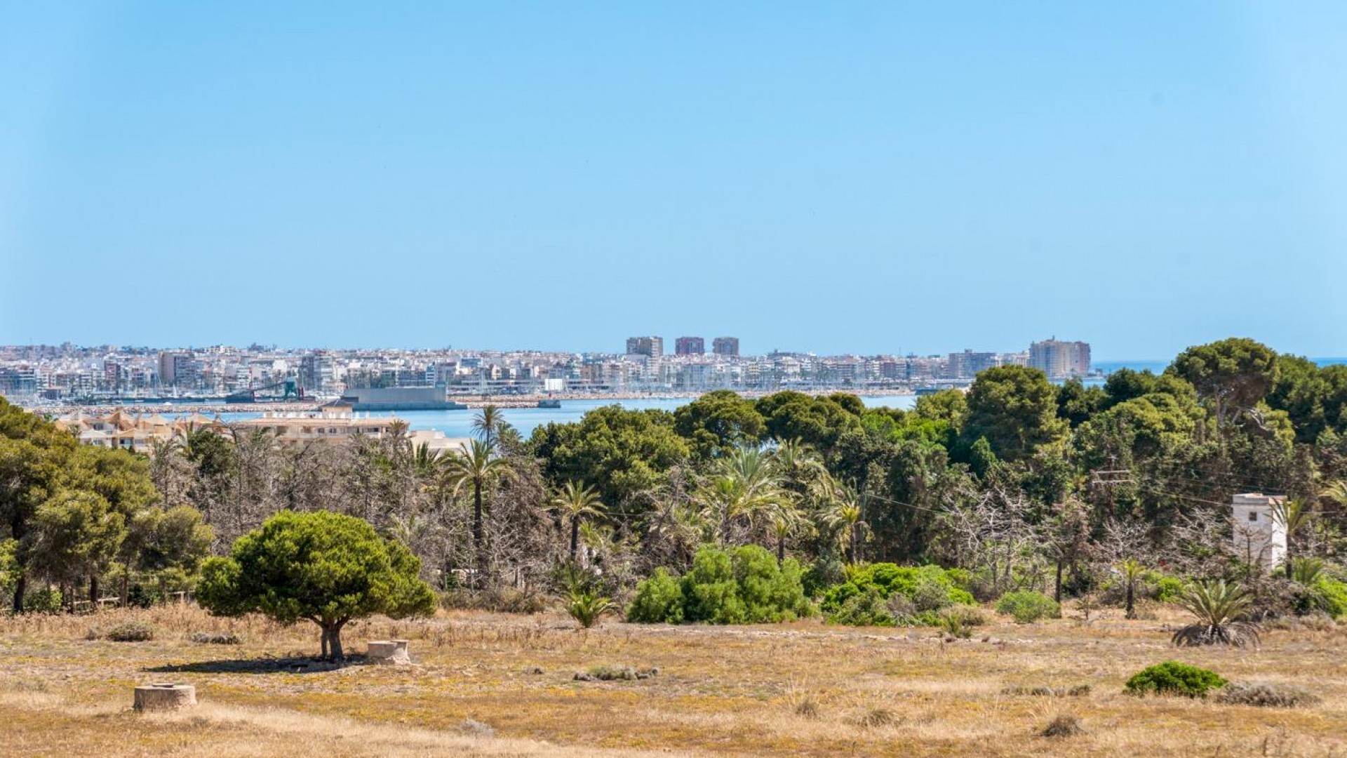 Resale - Lägenhet -
Torrevieja - Punta prima