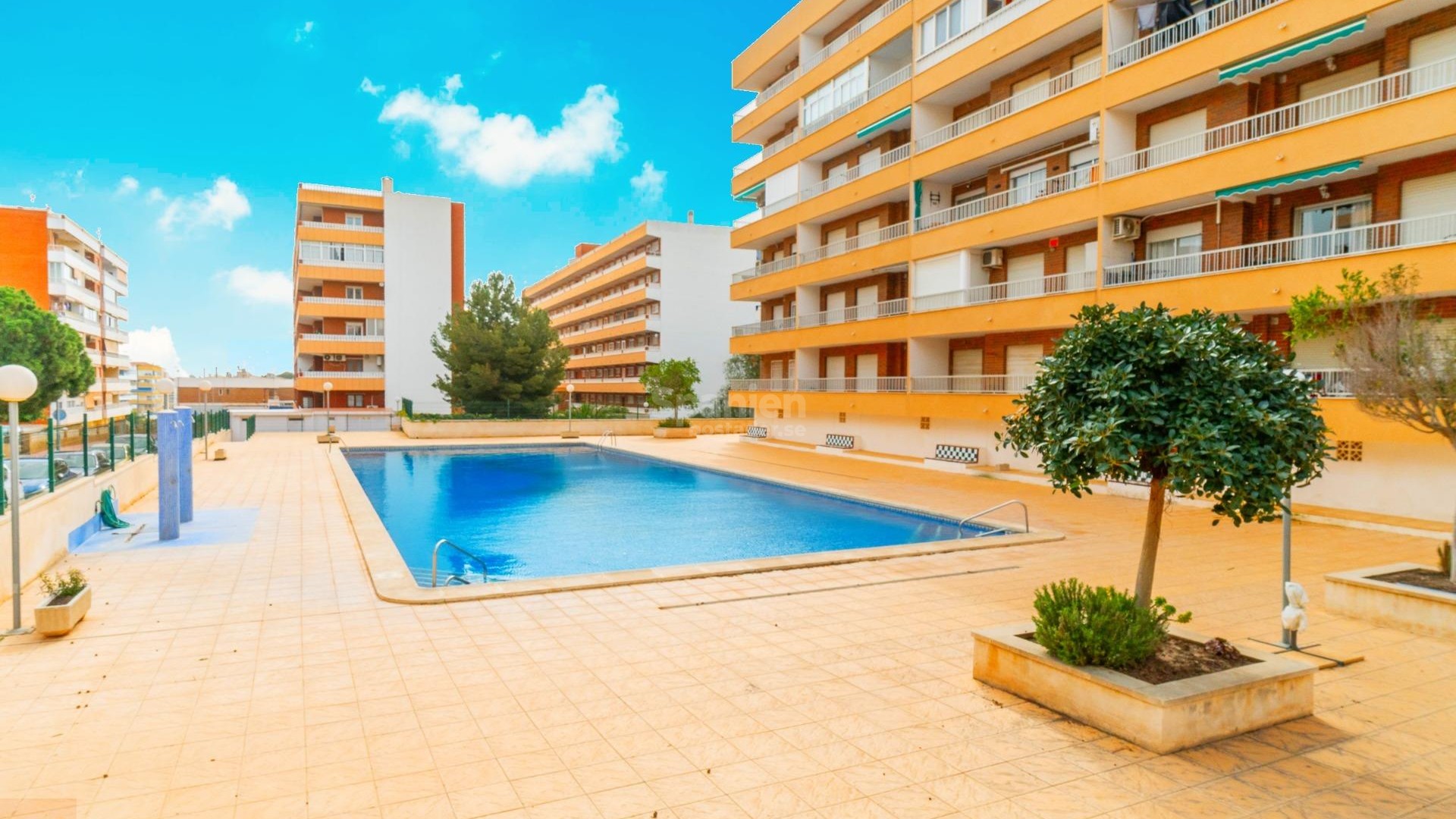 Resale - Lägenhet -
Torrevieja - Rocio del mar
