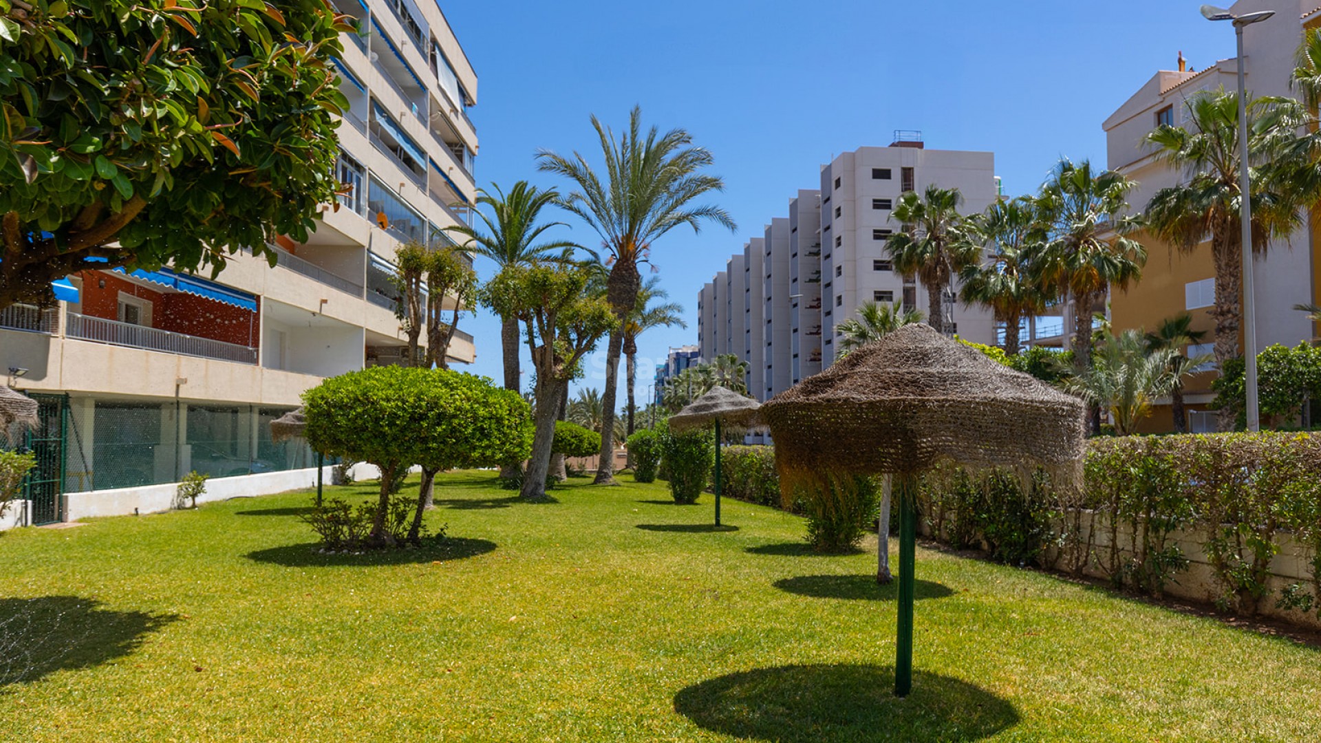 Resale - Lägenhet -
Torrevieja - Rocio del Mar