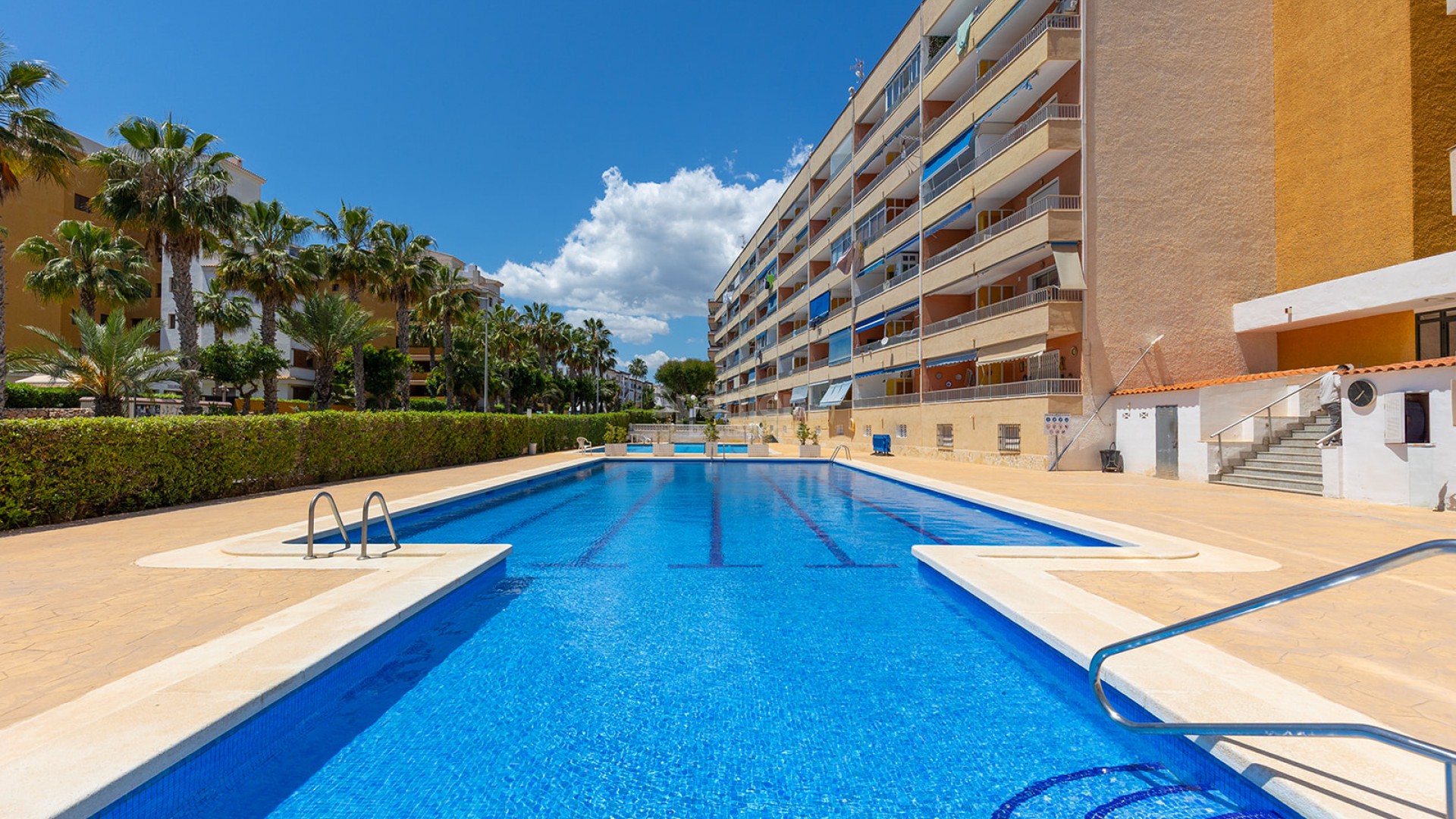 Resale - Lägenhet -
Torrevieja - Rocio del Mar