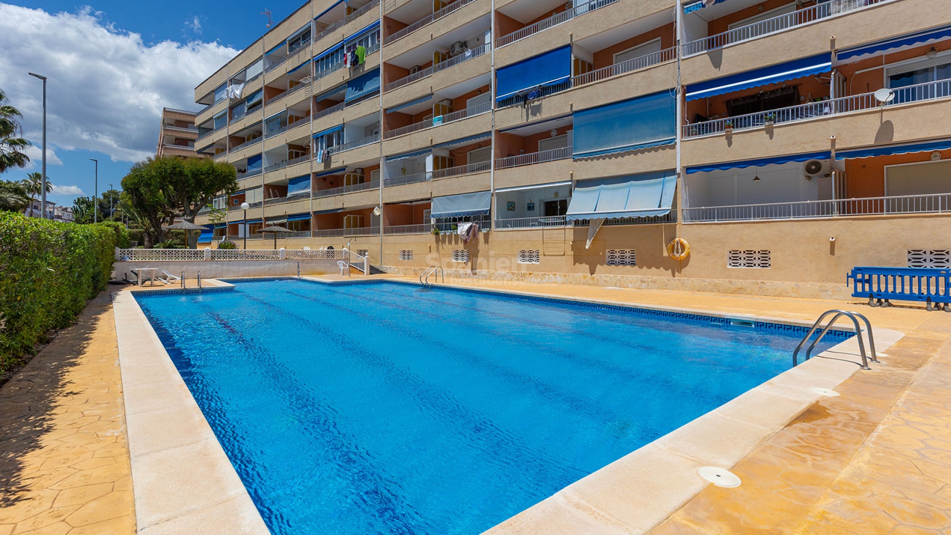 Resale - Lägenhet -
Torrevieja - Rocio del Mar
