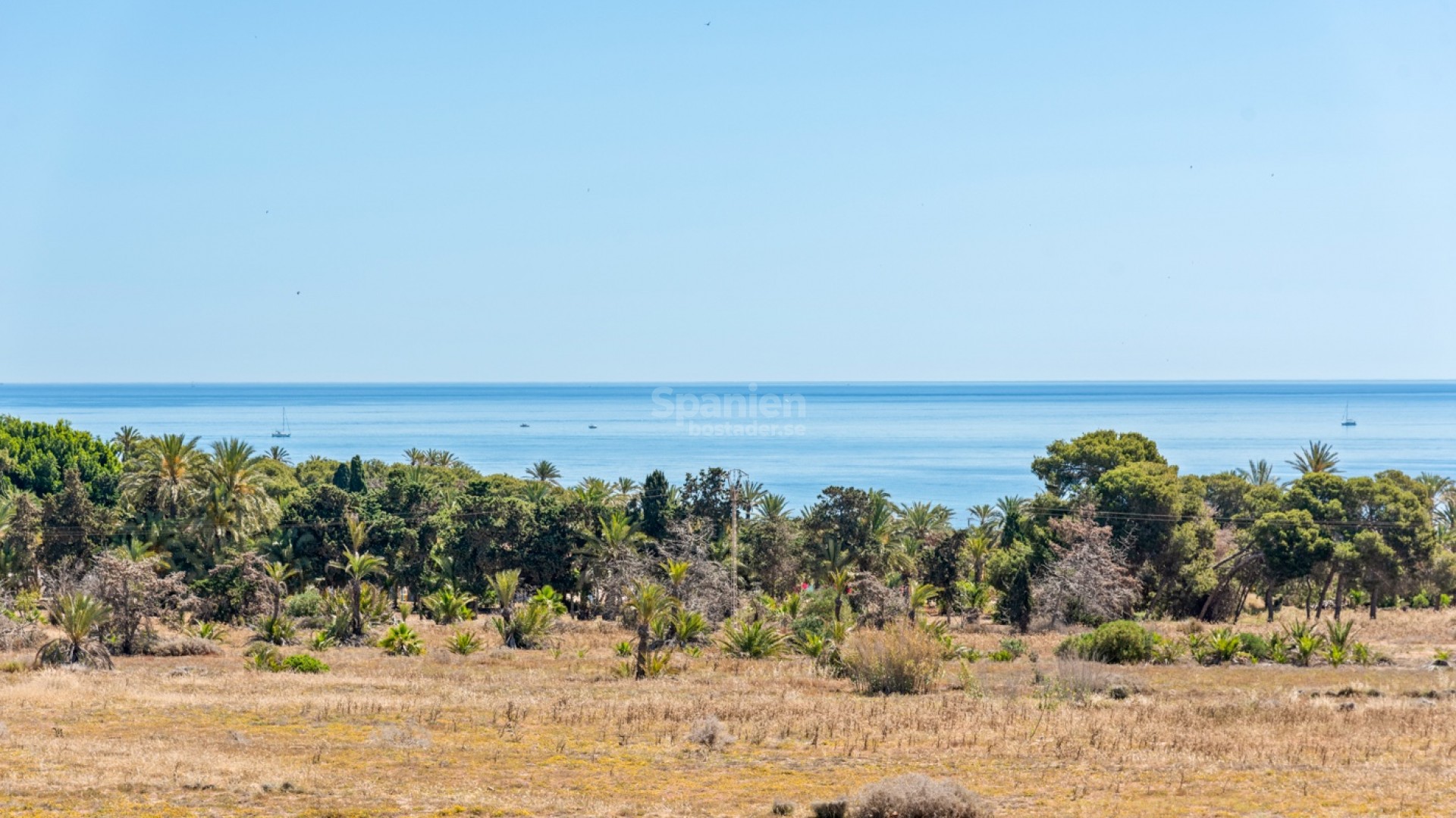 Resale - Lägenhet -
Torrevieja