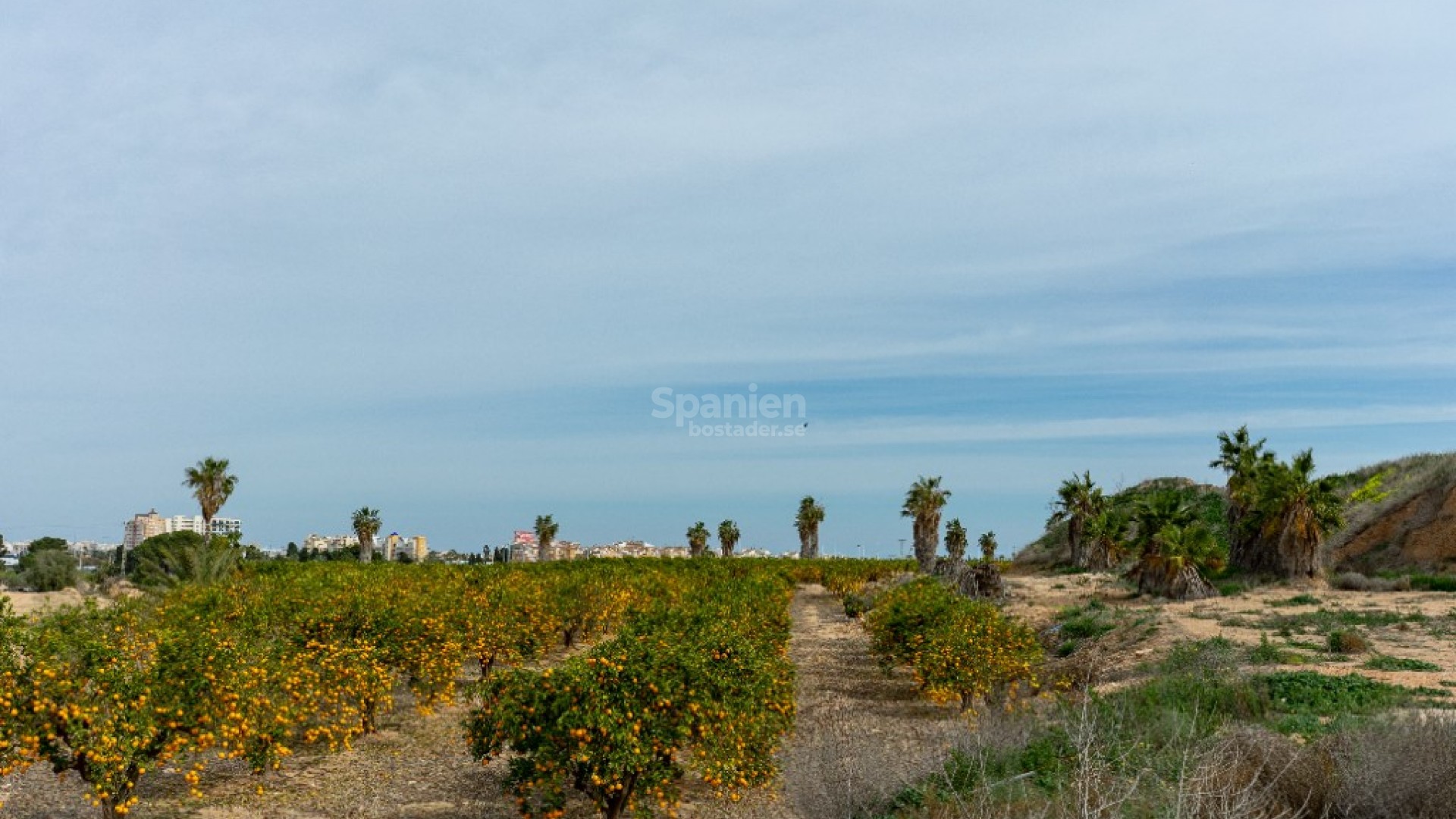 Resale - Villa -
Torrevieja - Los Altos